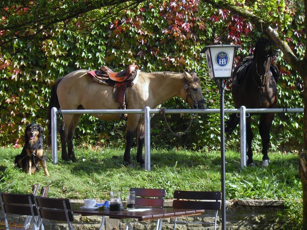 Landgasthof Alter Rommersberg Hotell Engelskirchen Exteriör bild